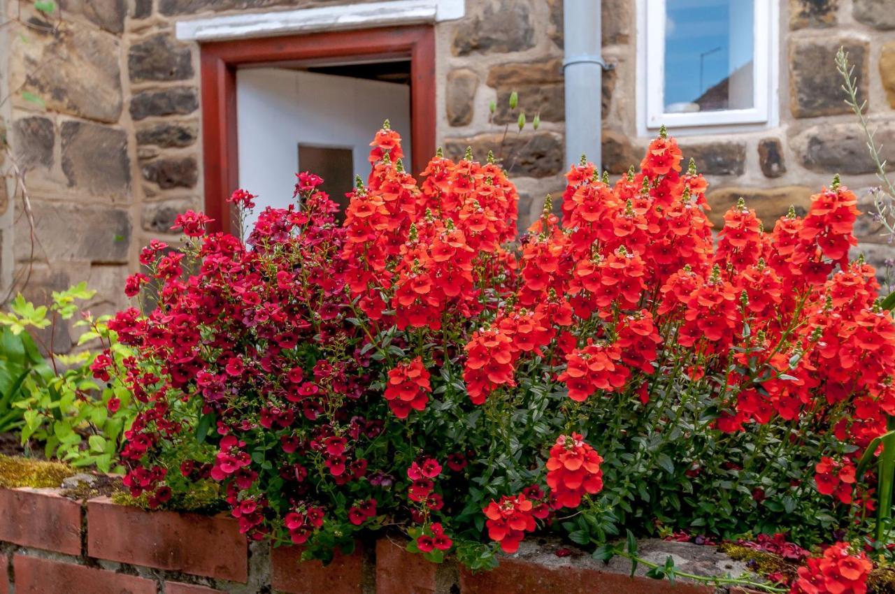 Chimes Cottage Guisborough Buitenkant foto